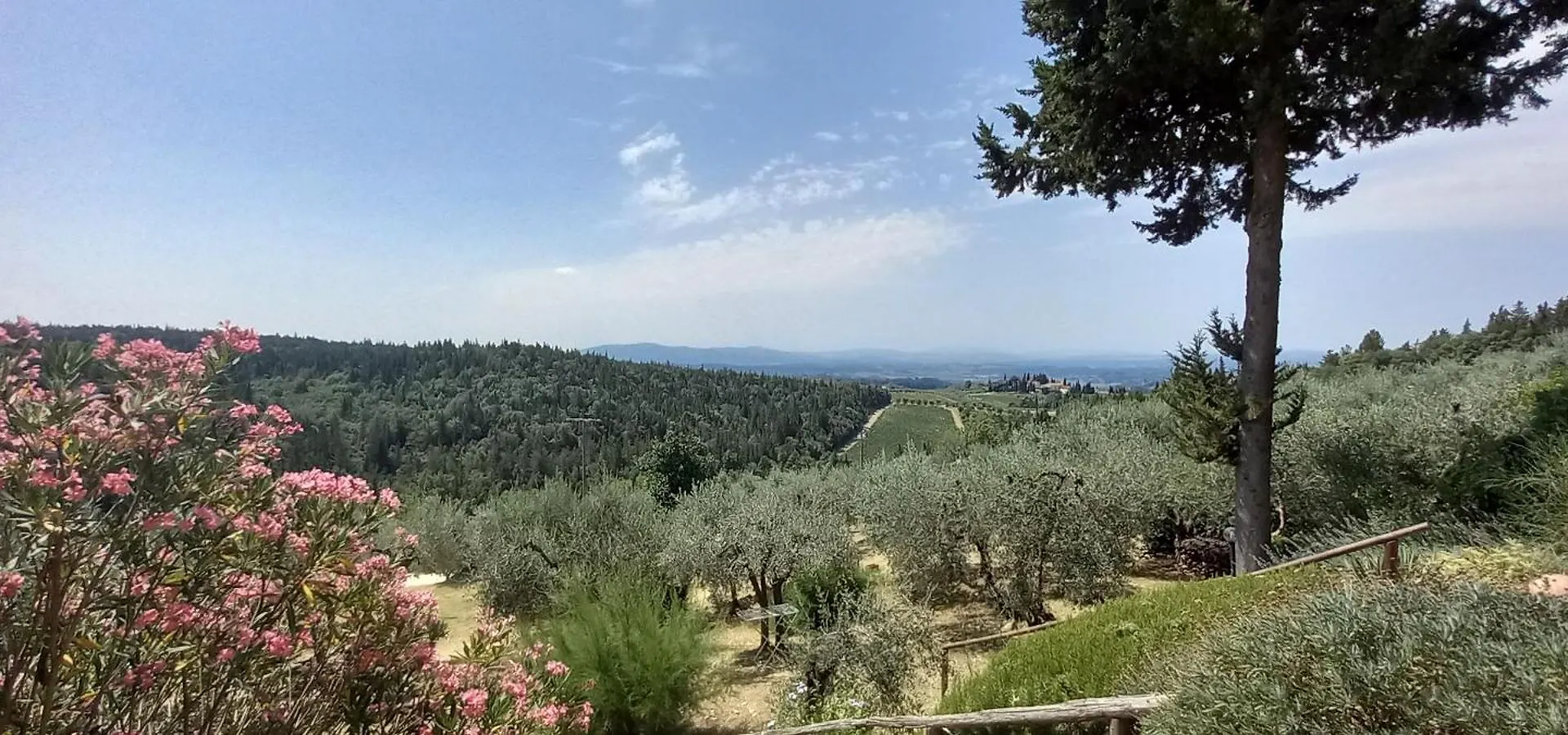 Appartamento Il Granaio Castellina in Chianti